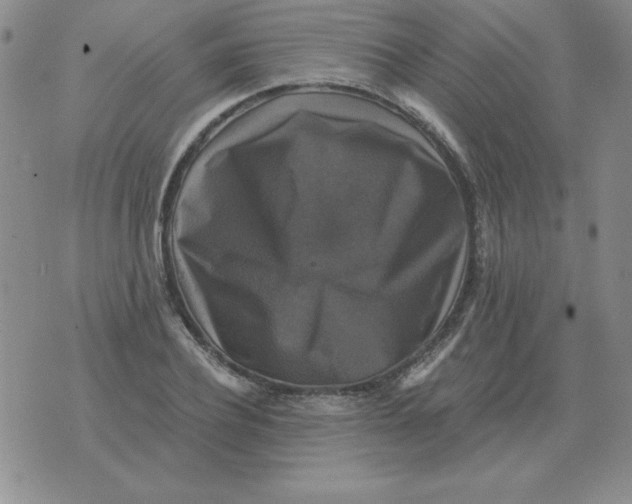 X0000076080932200610152249