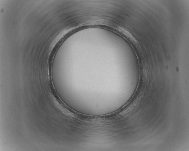 X0000076080934200610152249