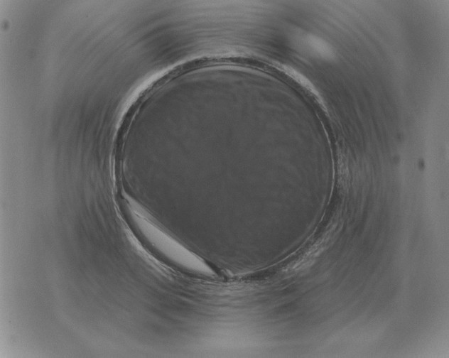 X0000076080935200610152249