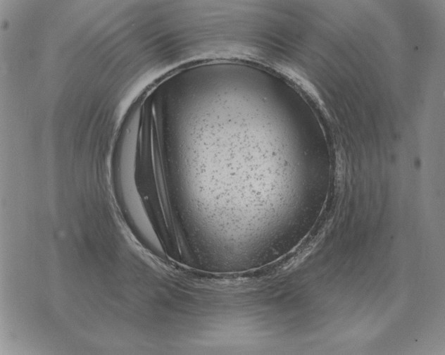 X0000076080936200610152249