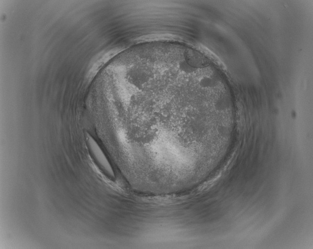 X0000076080937200610152249