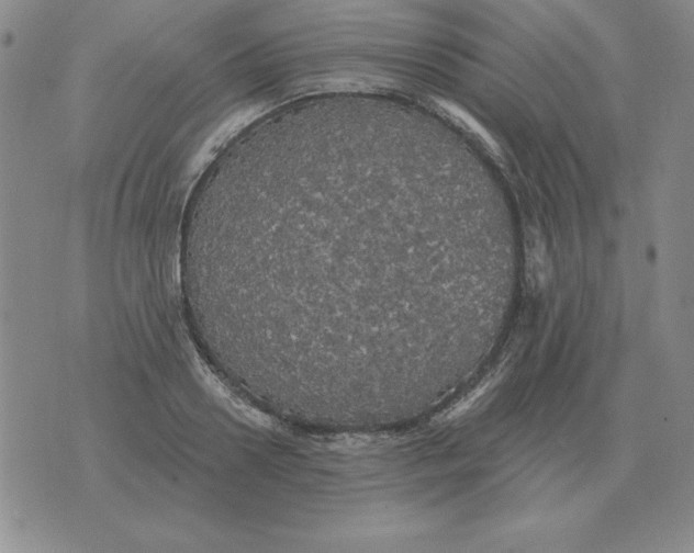 X0000076080938200610152249