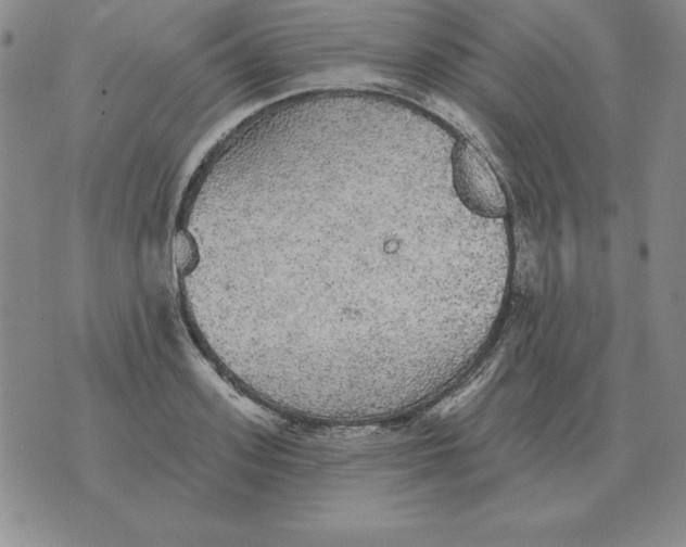 X0000076080939200610152249