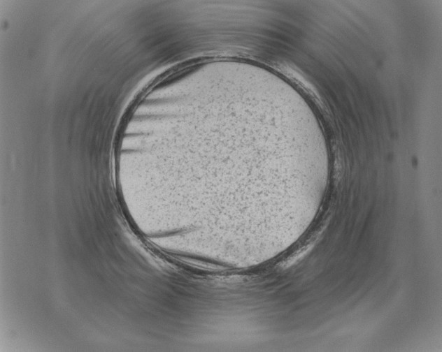 X0000076080940200610152249