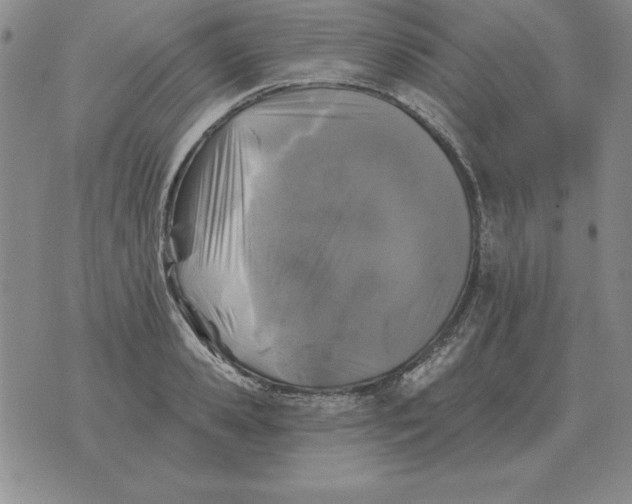 X0000076080941200610152249