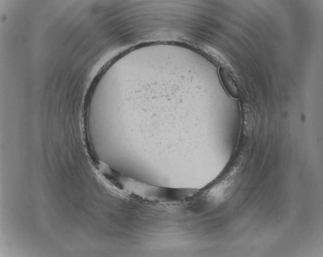 X0000076080942200610152249