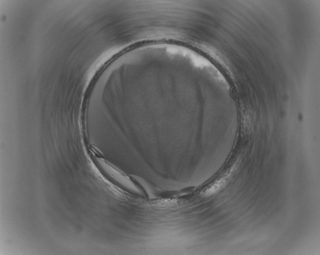 X0000076080943200610152249