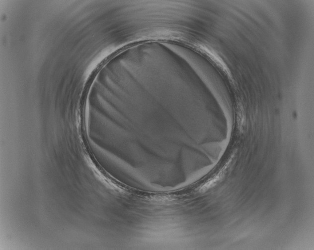 X0000076080944200610152249