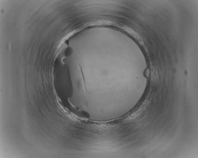 X0000076080945200610152249