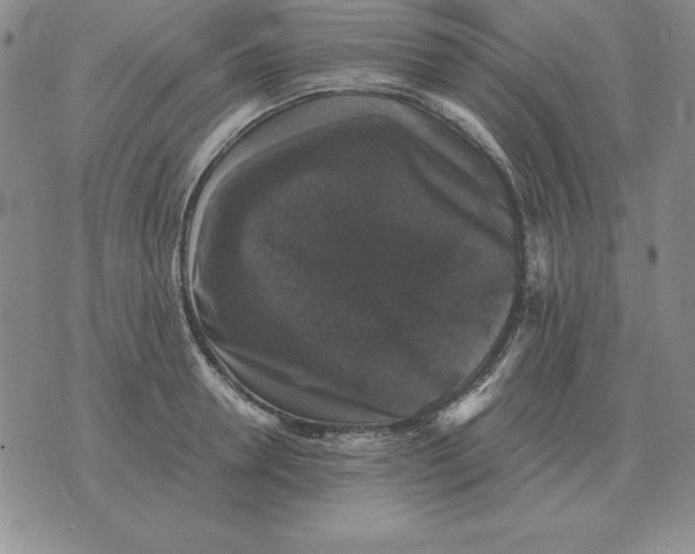 X0000076080946200610152249