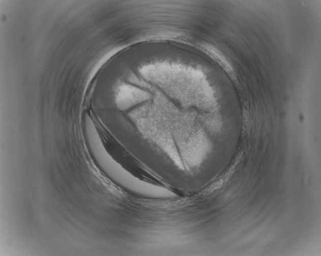 X0000076080948200610152249