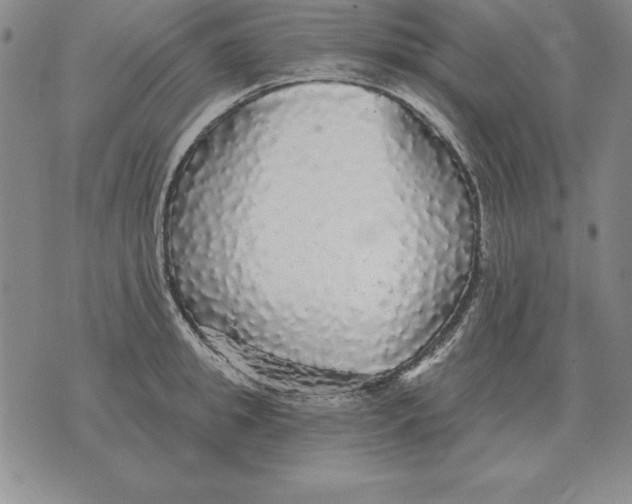 X0000076080949200610152249