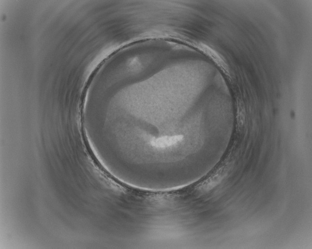 X0000076080950200610152249