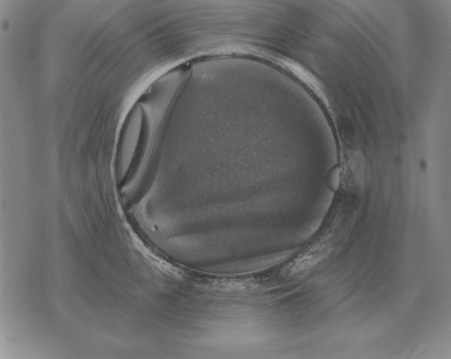 X0000076080951200610152249