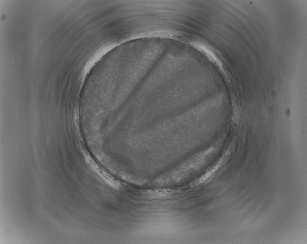 X0000076080952200610152249