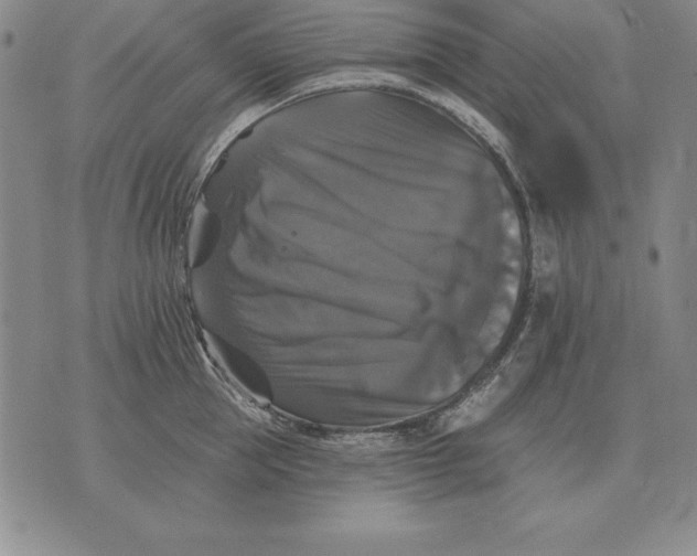 X0000076080953200610152249