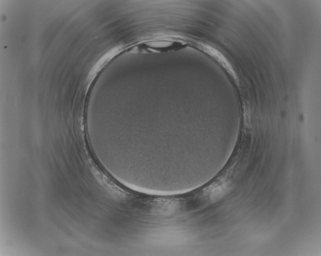 X0000076080954200610152249