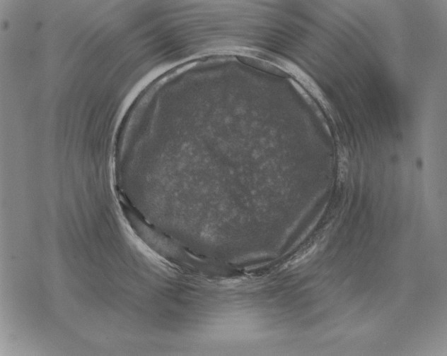 X0000076080955200610152249