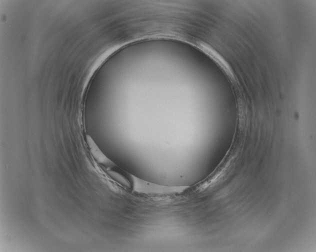 X0000076080956200610152249