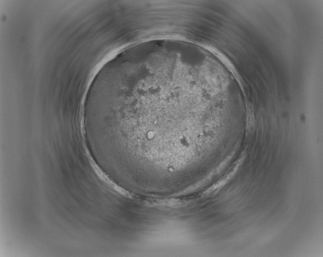 X0000076080957200610152249