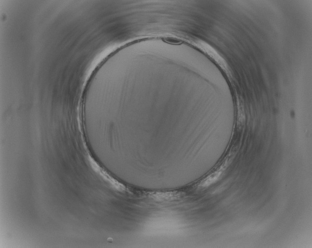 X0000076080958200610152249