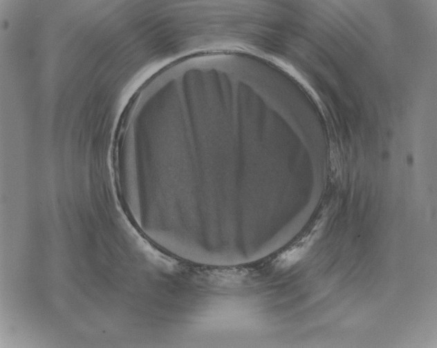 X0000076080959200610152249