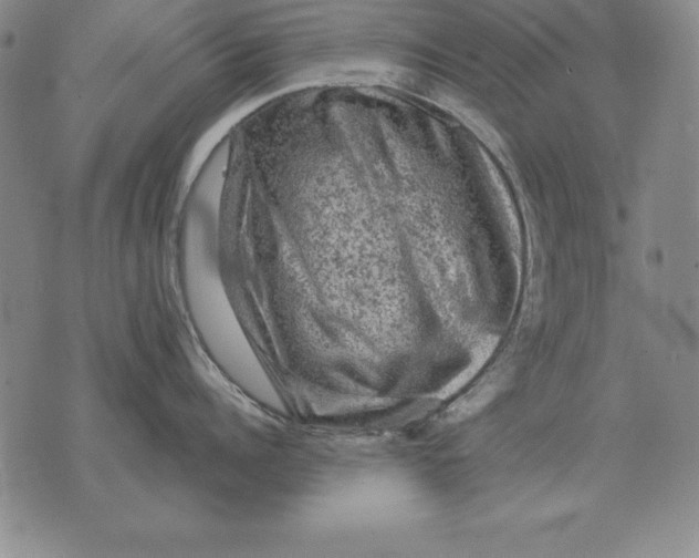 X0000076080960200610152249