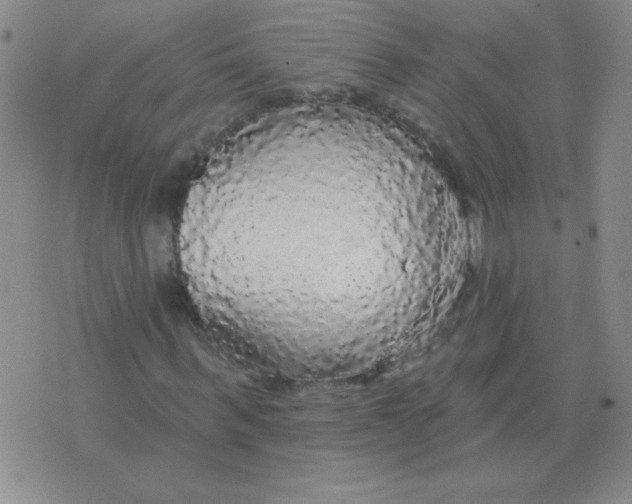 X0000076080963200610152249