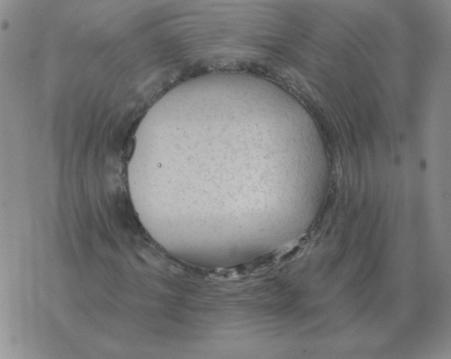 X0000076080964200610152249