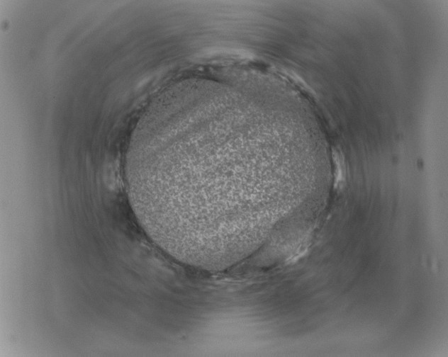 X0000076080965200610152249