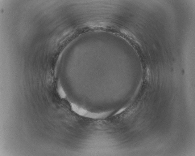 X0000076080966200610152248