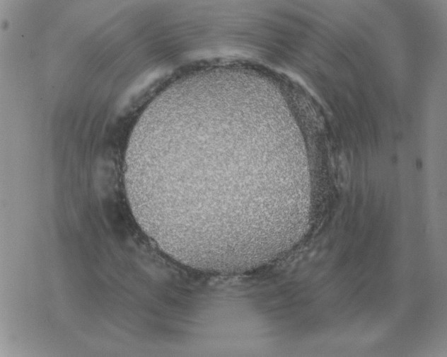 X0000076080967200610152248