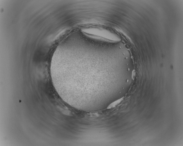 X0000076080968200610152248