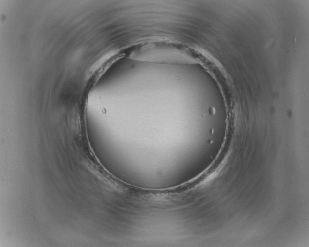 X0000076080969200610152248