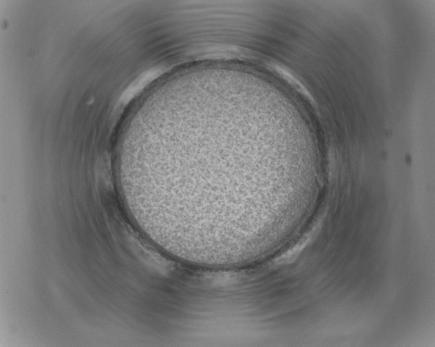 X0000076080970200610152248