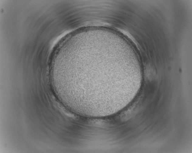 X0000076080971200610152248