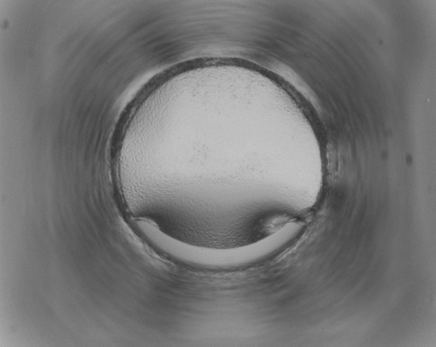 X0000076080972200610152248