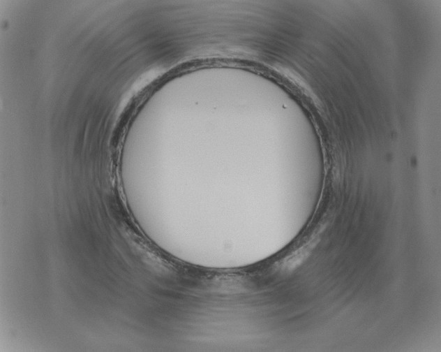 X0000076080974200610152248