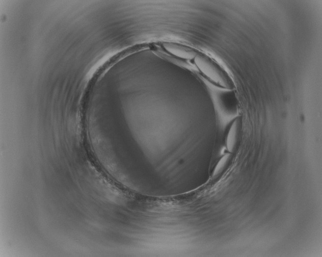 X0000076080975200610152248