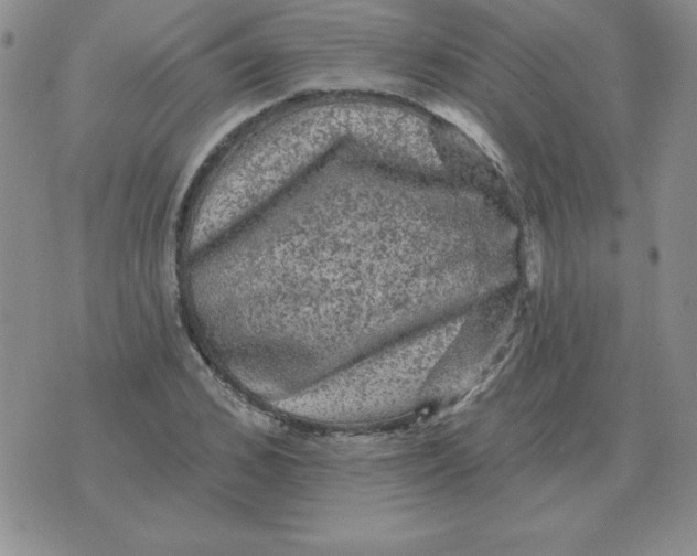 X0000076080976200610152248