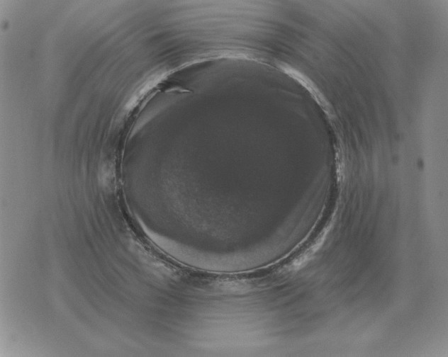 X0000076080977200610152248