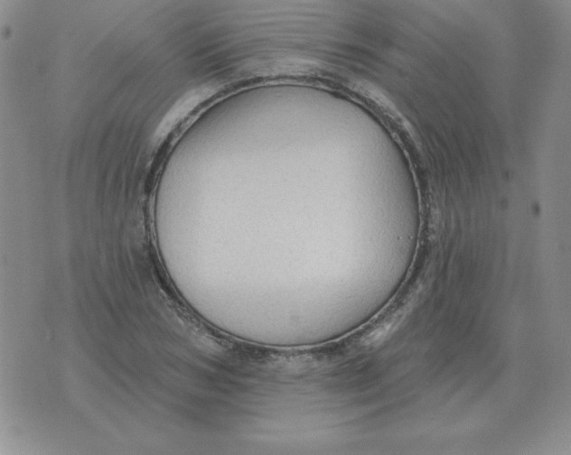 X0000076080978200610152248