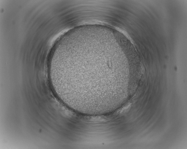 X0000076080979200610152248