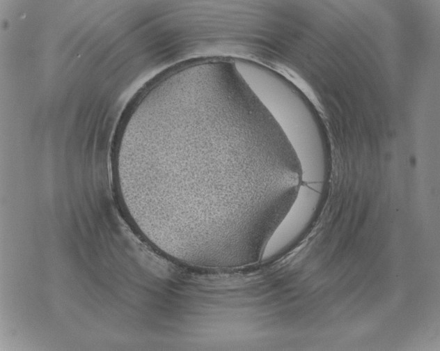 X0000076080980200610152248