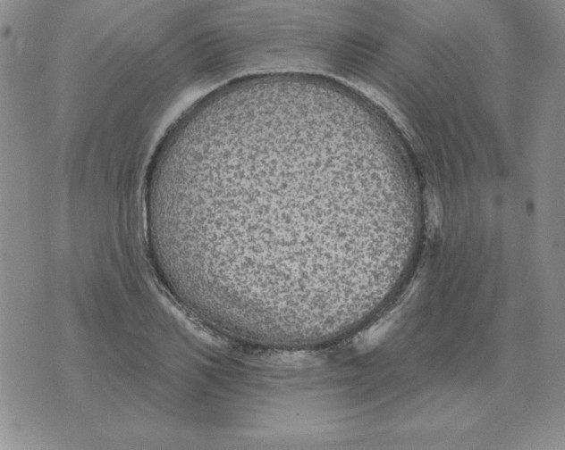 X0000076080982200610152248