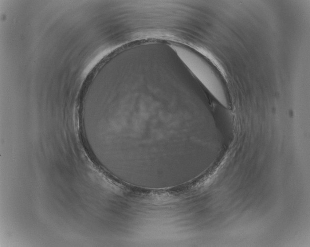 X0000076080983200610152248