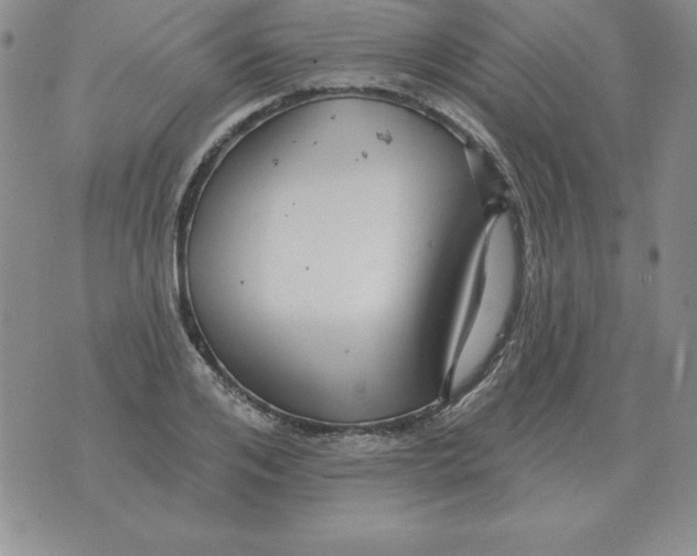 X0000076080984200610152248