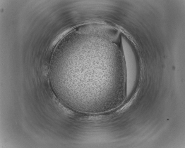 X0000076080985200610152248