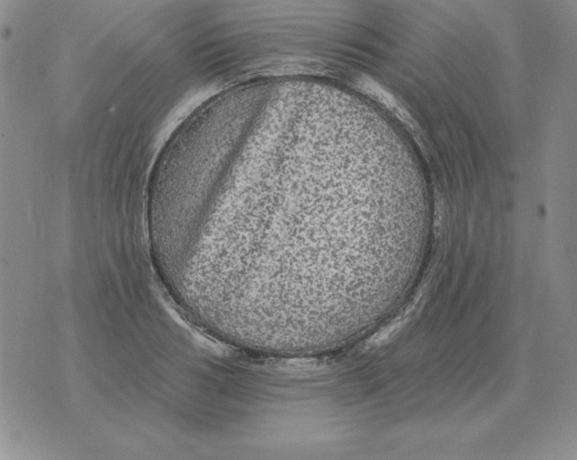 X0000076080986200610152248