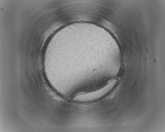 X0000076080987200610152248